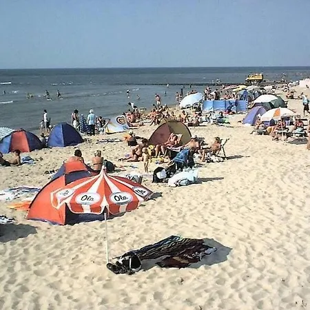 Hébergement de vacances Zeester 218 In Strandslag Park De Zandloper