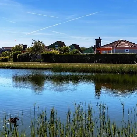 Zeester 218 In Strandslag Park *